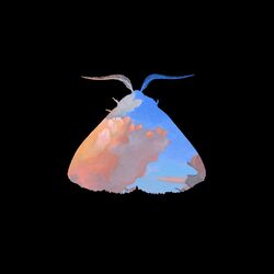Cover of Moth to the Flame