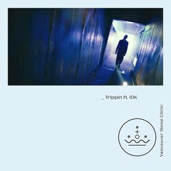 Cover of Trippin