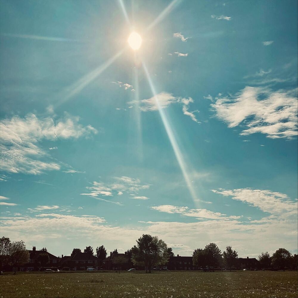 Picture of Beauty of nature