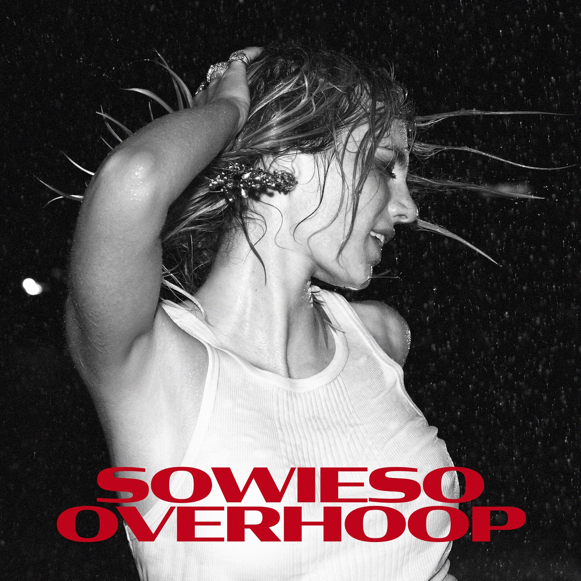 Album cover of Sowieso Overhoop