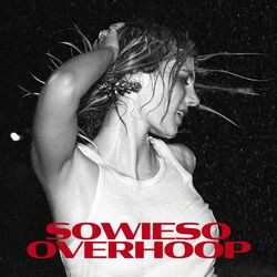 Cover of Sowieso Overhoop