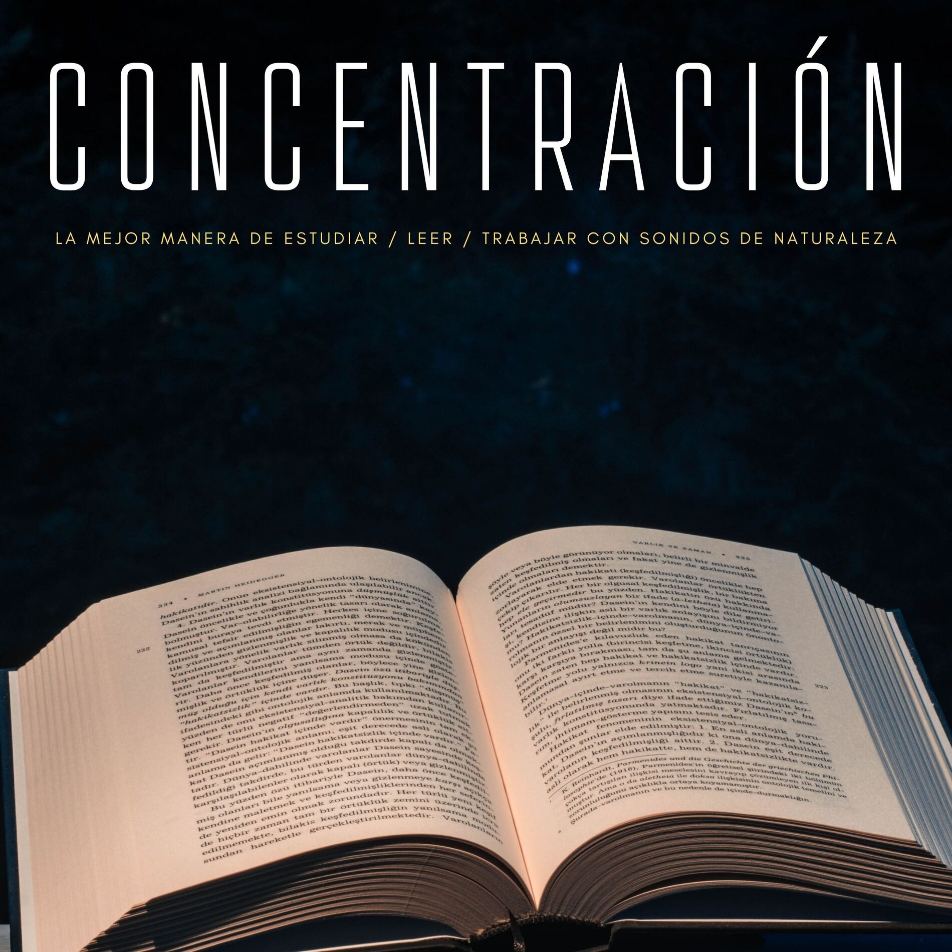 Album cover of Concentración: La Mejor Manera De Estudiar / Leer / Trabajar Con Sonidos De Naturaleza