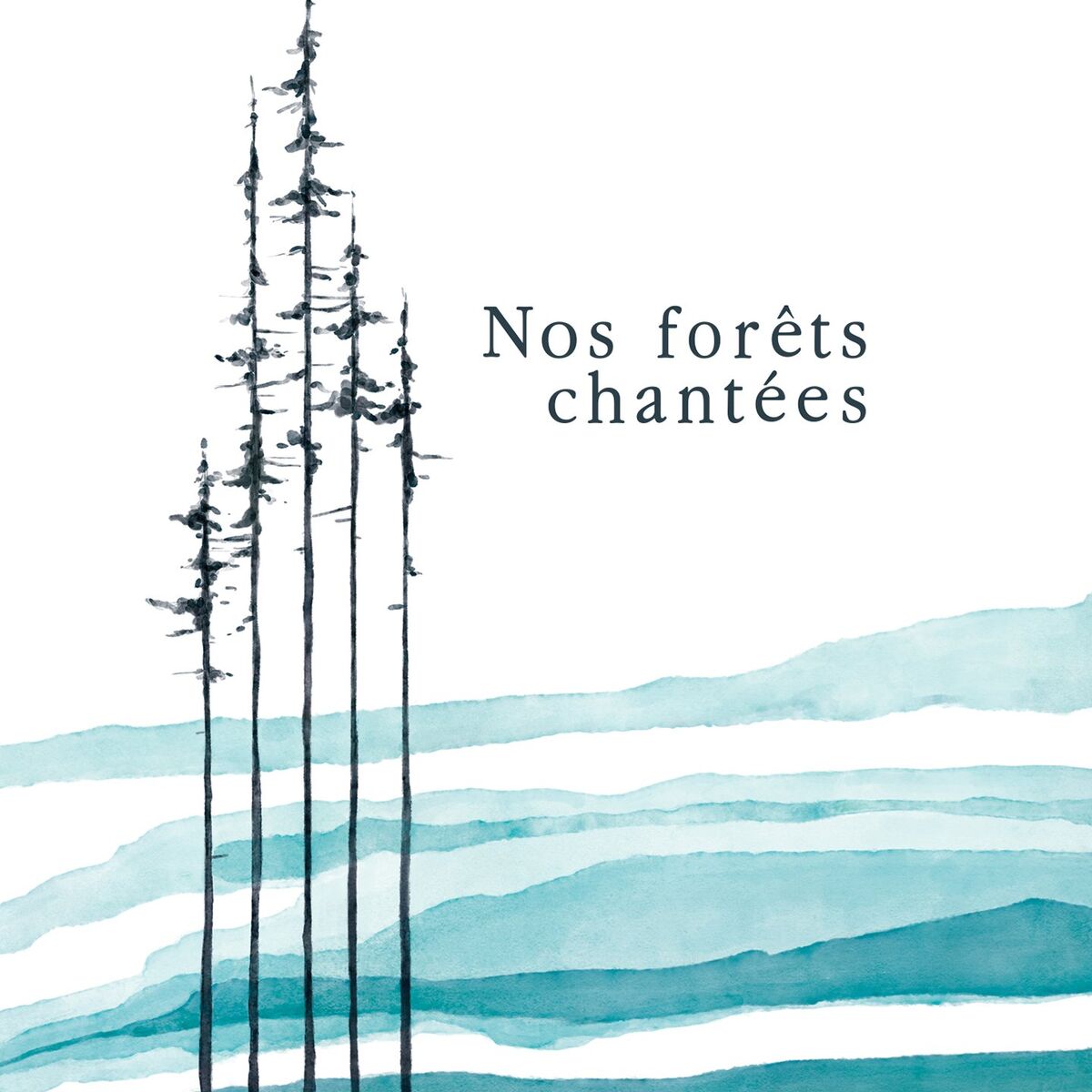 Album cover of Nos forêts chantées