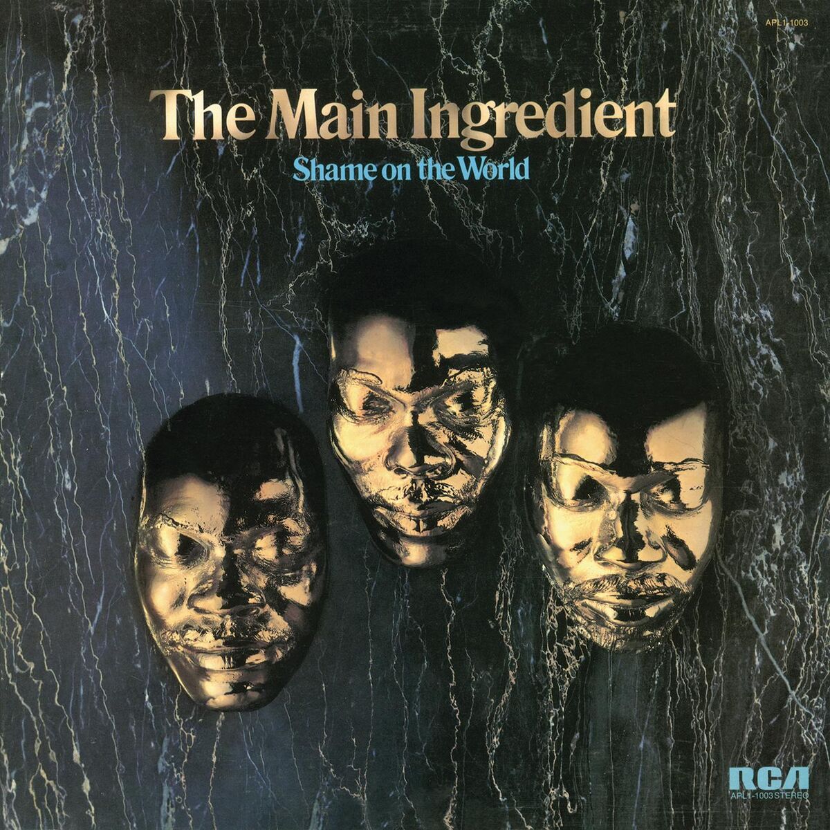 Album cover of Shame on the World