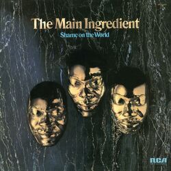 Cover of Shame on the World