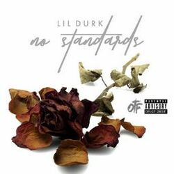 Cover of No Standards