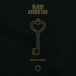 Cover of Never Know (Live)