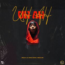 Cover of UH AH