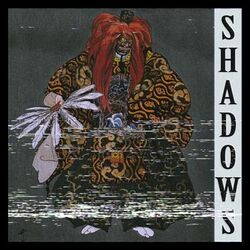 Cover of Shadows