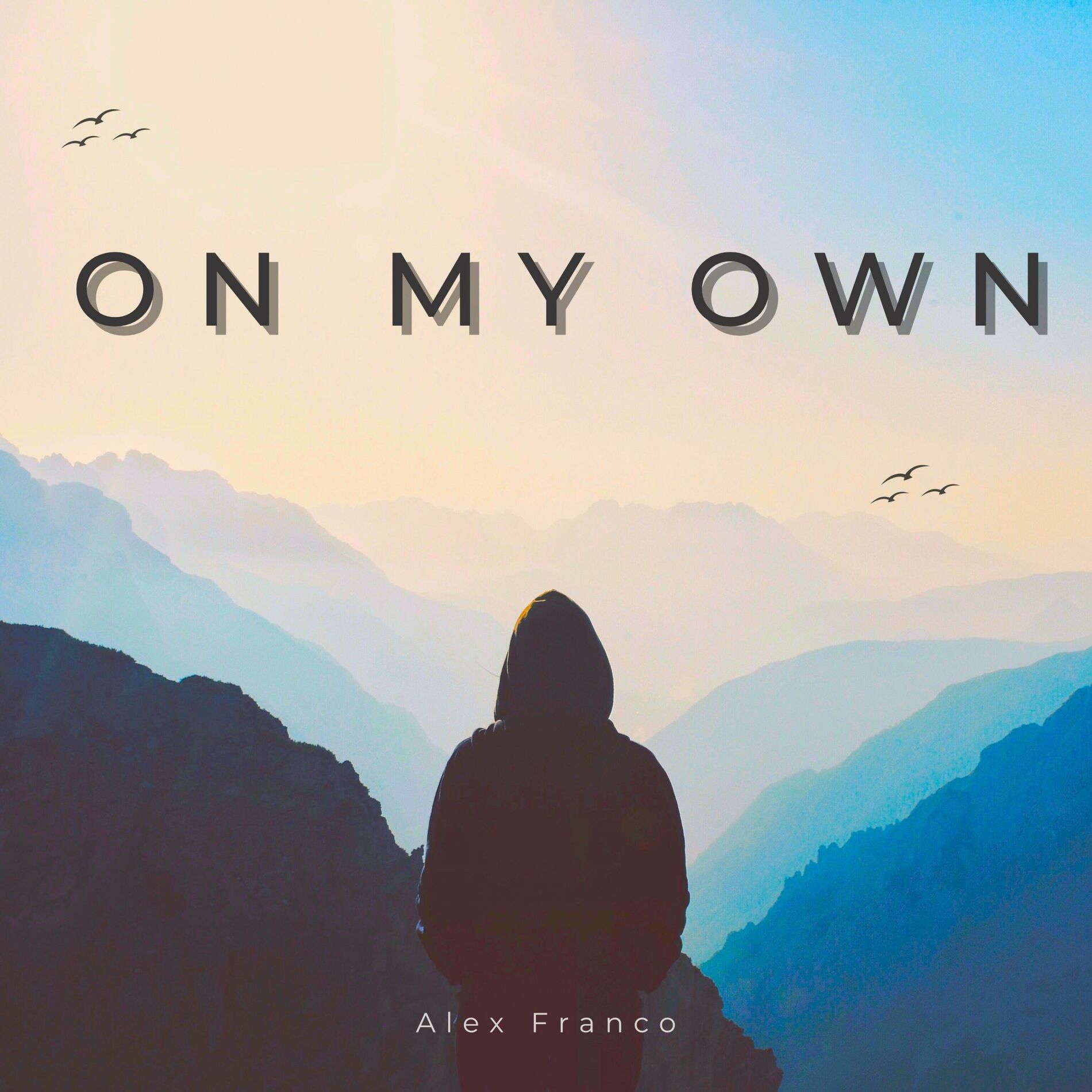 Album cover of On My Own