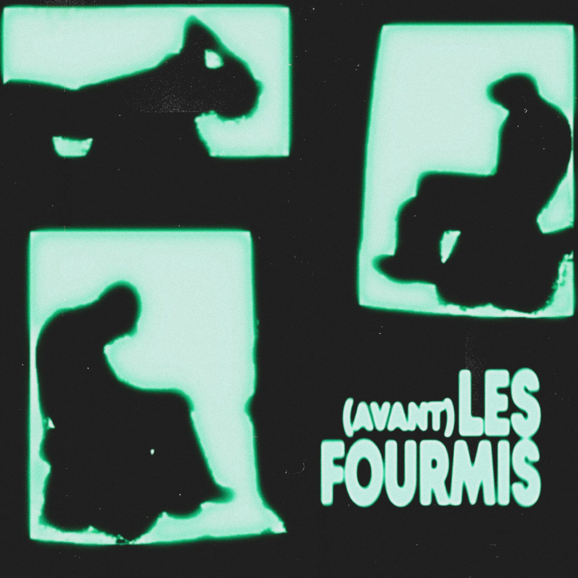Album cover of (avant) LES FOURMIS