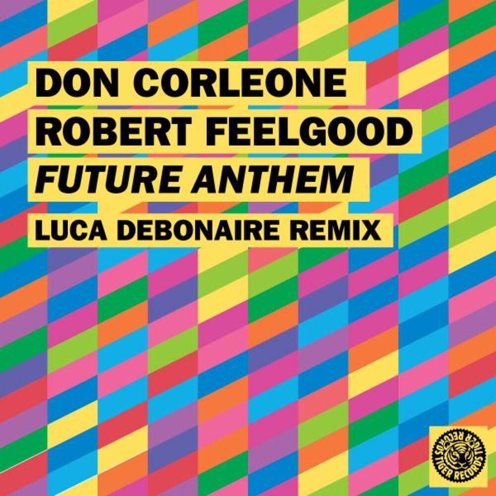 Picture of Future Anthem (Luca Debonaire Remix)