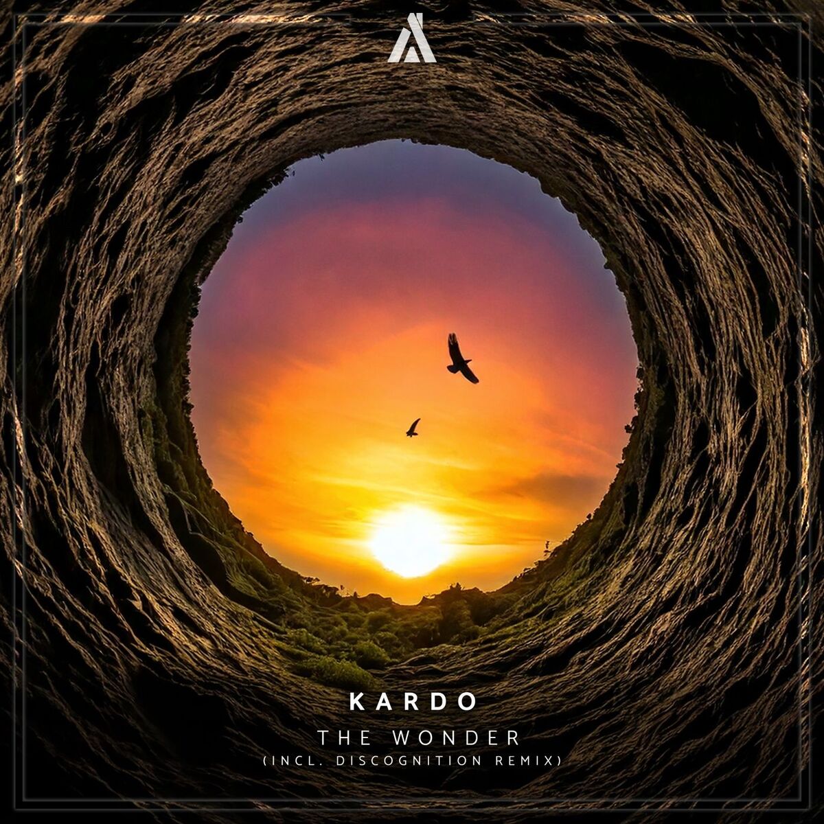 Album cover of The Wonder