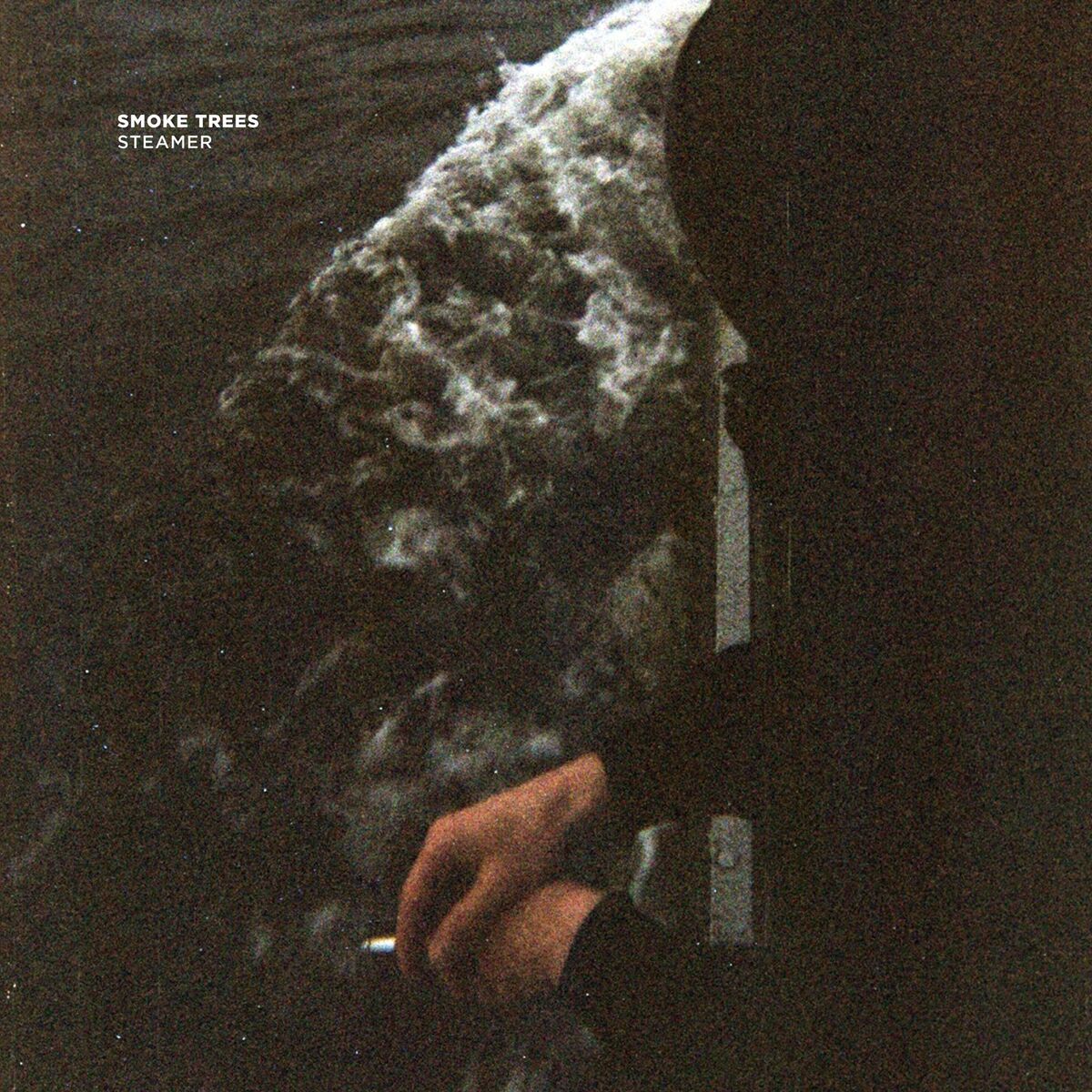Album cover of Steamer