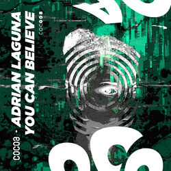 Cover of You Can Believe