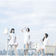 Laser Beam by Perfume album cover