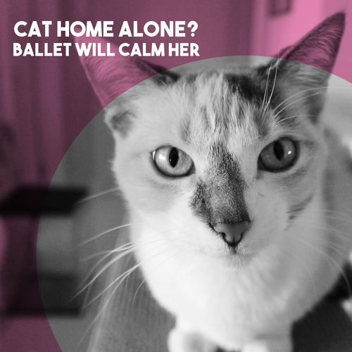 Cat Home Alone? Ballet Will Calm Her