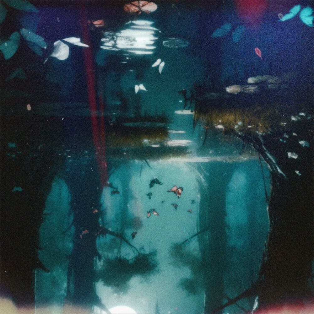 Picture of therapy: session 02