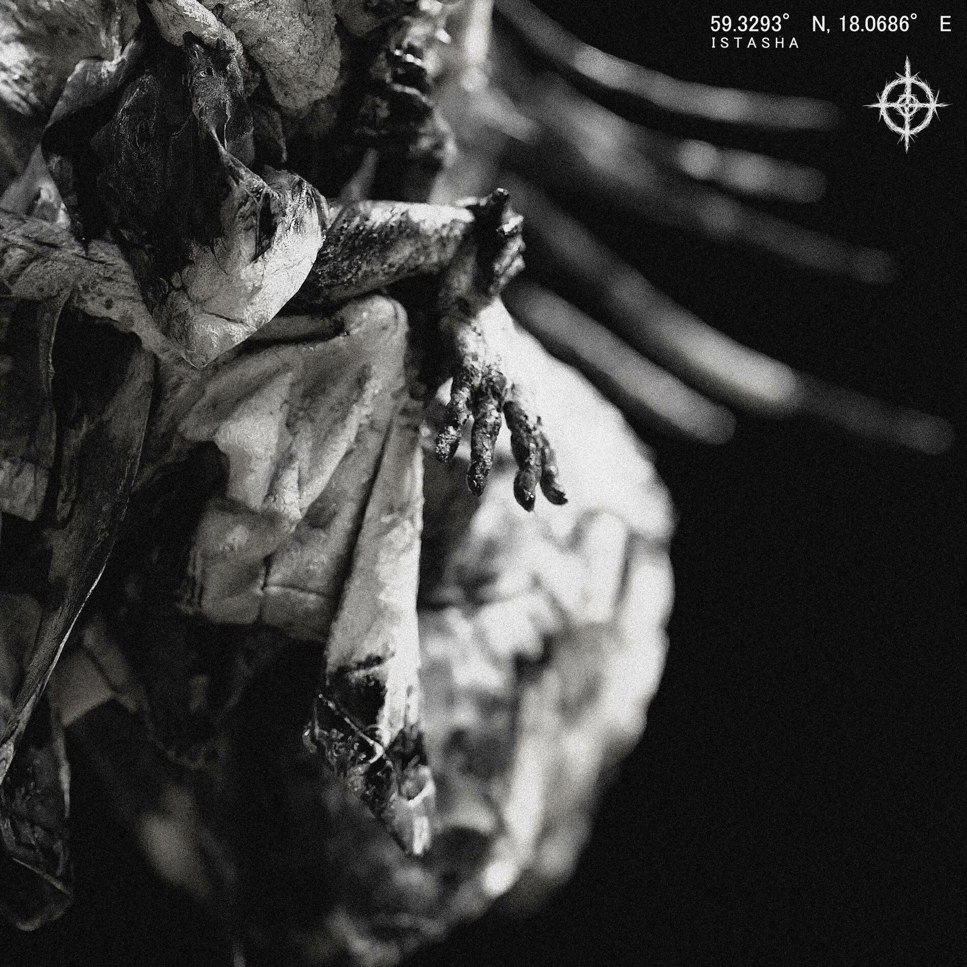Album cover of WANDERING MAUSOLEUM