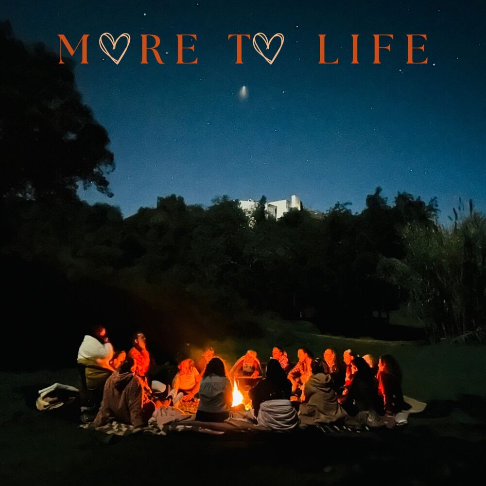 Picture of More to Life
