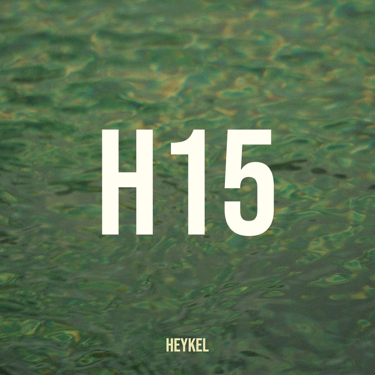 Album cover of H15
