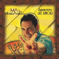 Cover of Aguacero De Amor