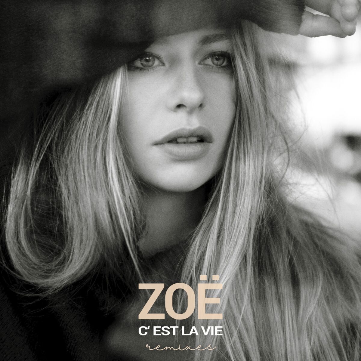 Album cover of C'est la vie