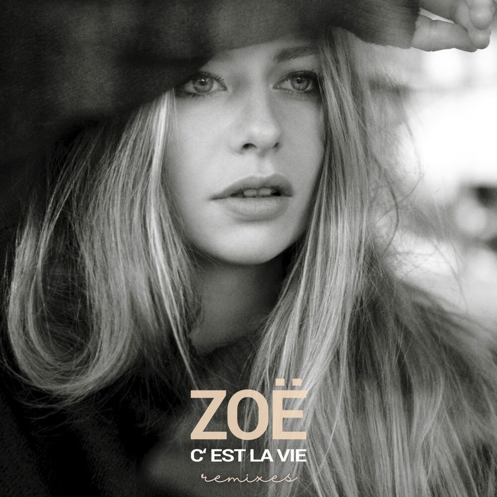 Picture of C'est la vie (Remixes)
