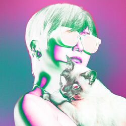 Cover of as a human