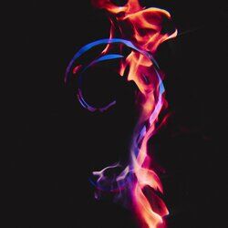 Cover of Fire Starter