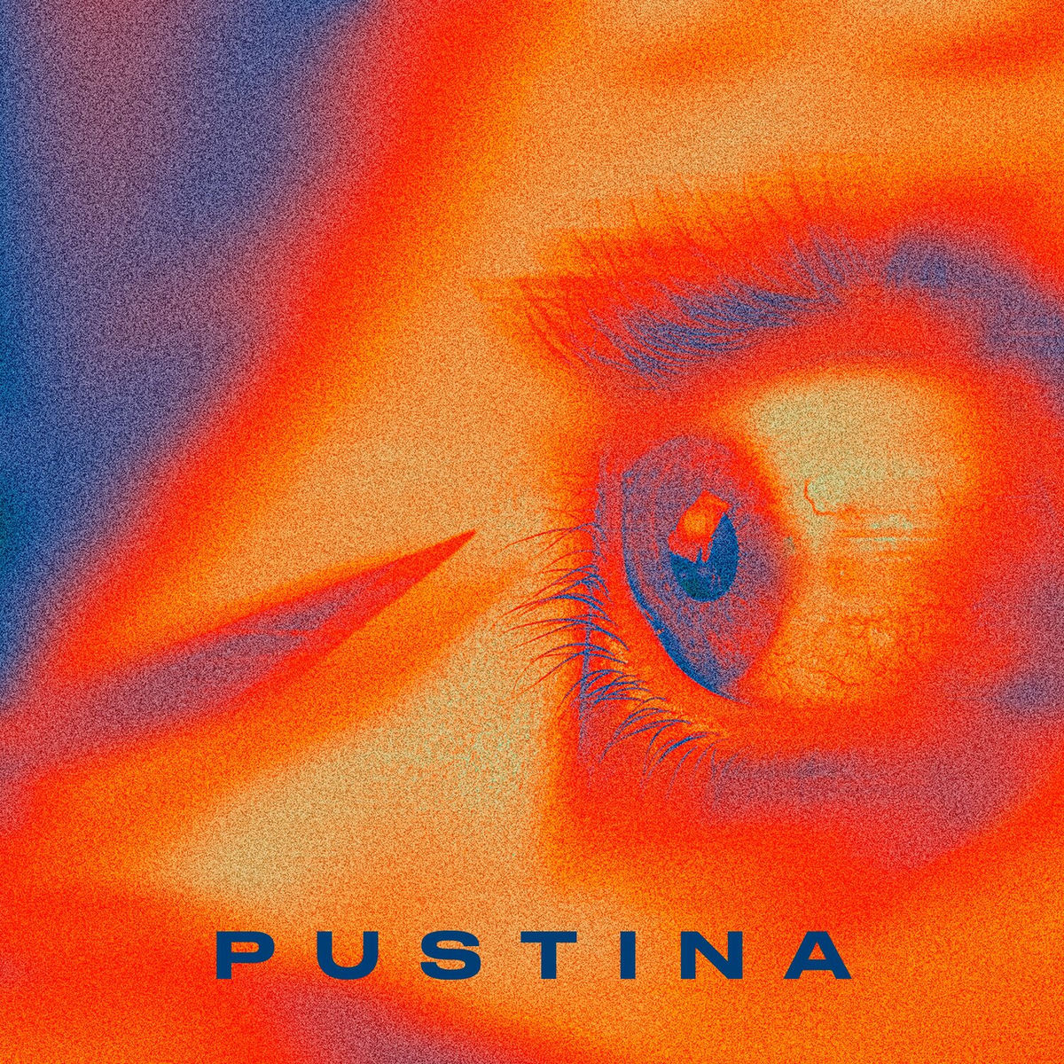 Album cover of Pustina