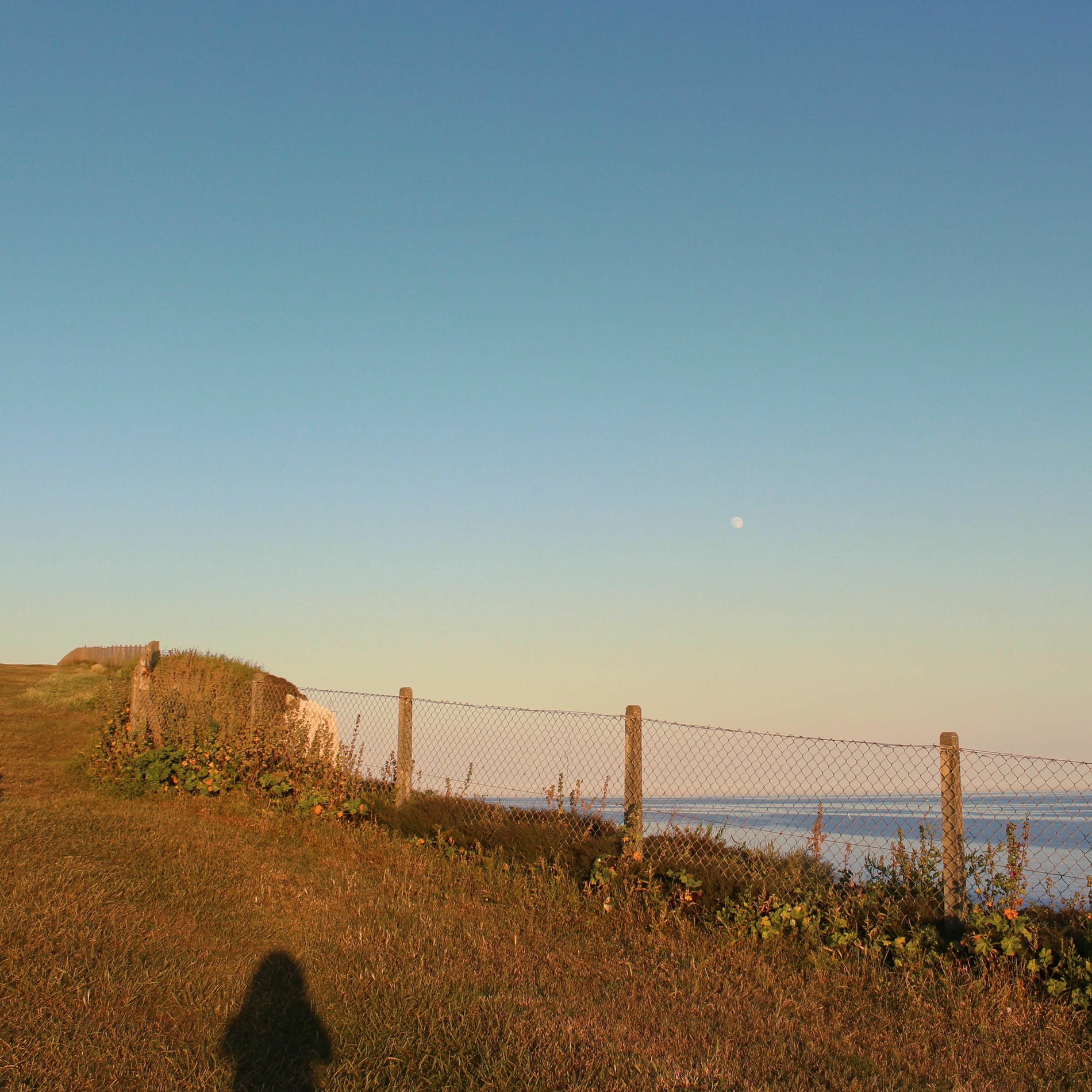 Album cover of soothing sorrow