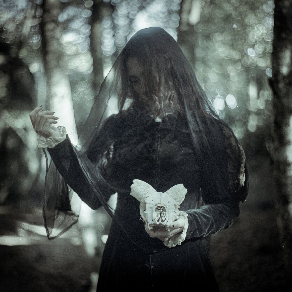 Album cover of light/darkness