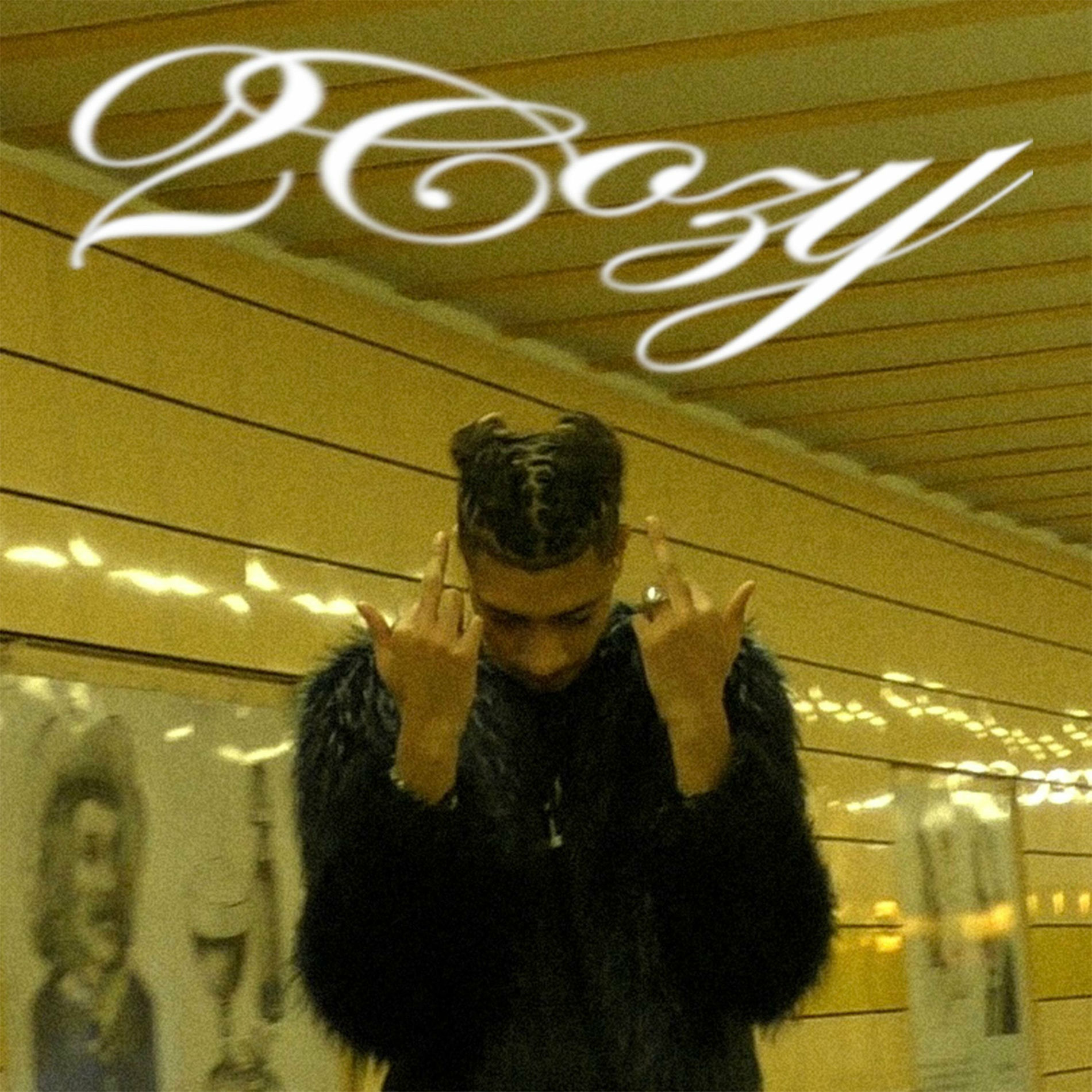 Album cover of 2COZY