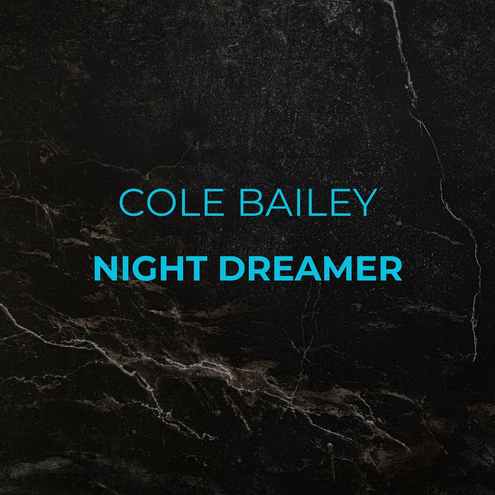 Album cover of Night Dreamer