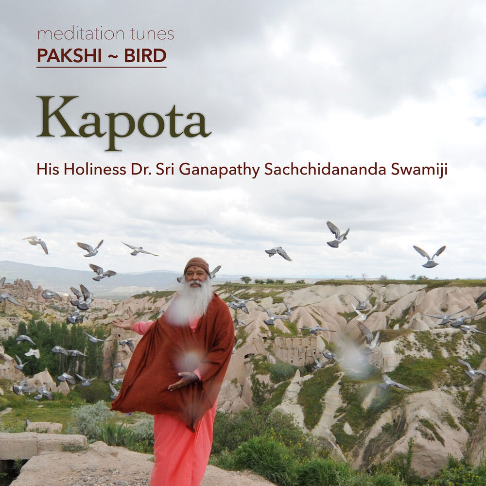Picture of Meditation Tunes - Pakshi / Bird - Kapota