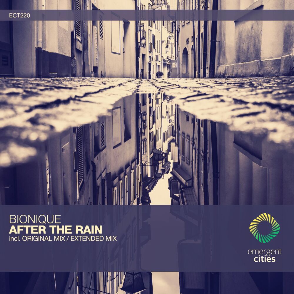 Picture of After the Rain