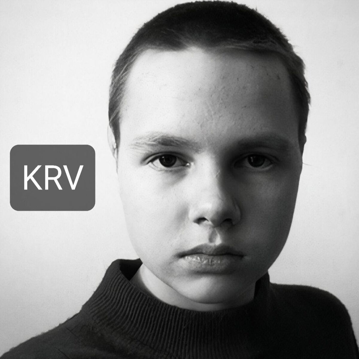 Album cover of Krv