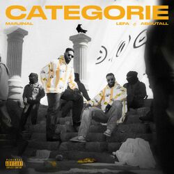 Cover of Catégorie