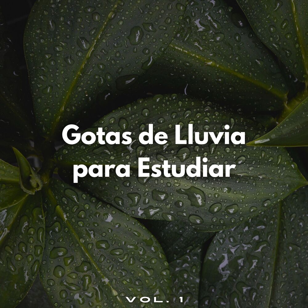 Picture of Gotas De Lluvia Para Estudiar Vol. 1