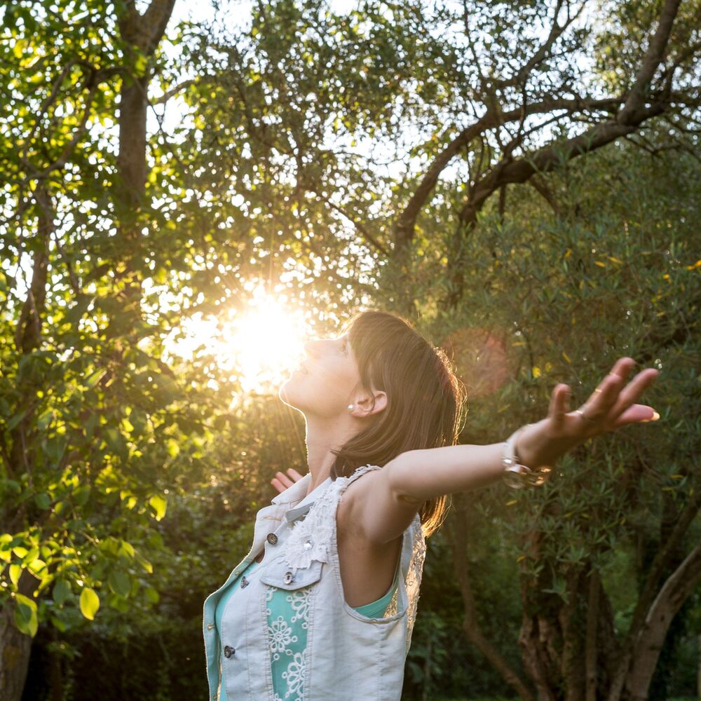 Picture of Tranquil Sanctuary: Meditative Melodies Inspired by Nature