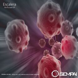 Cover of Verflossen EP
