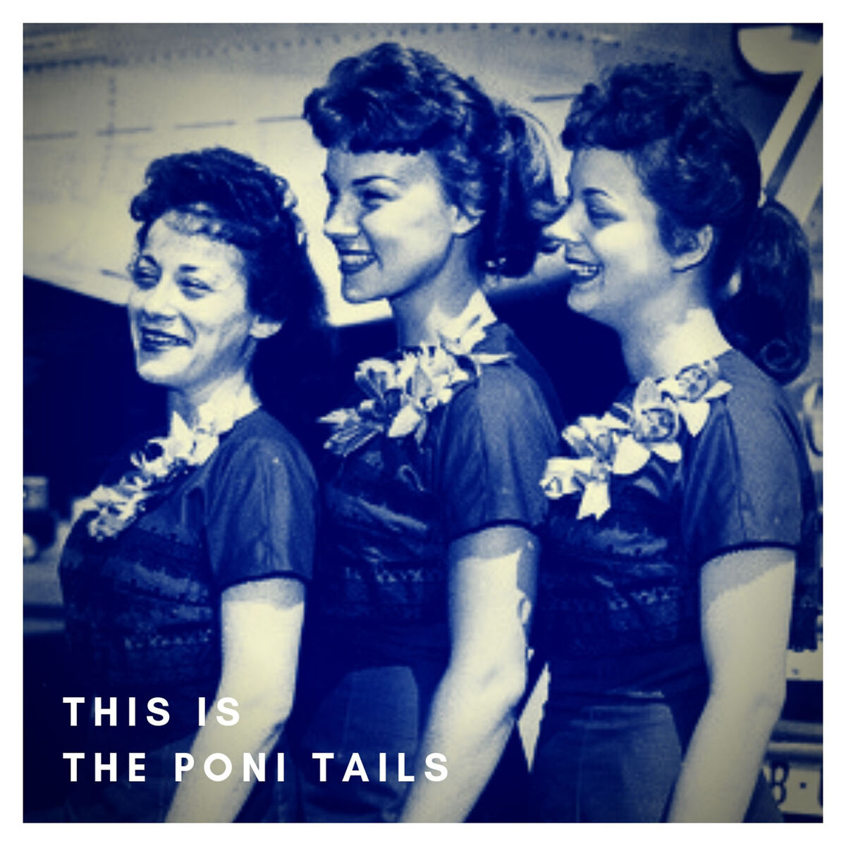 Album cover of This is the Poni Tails