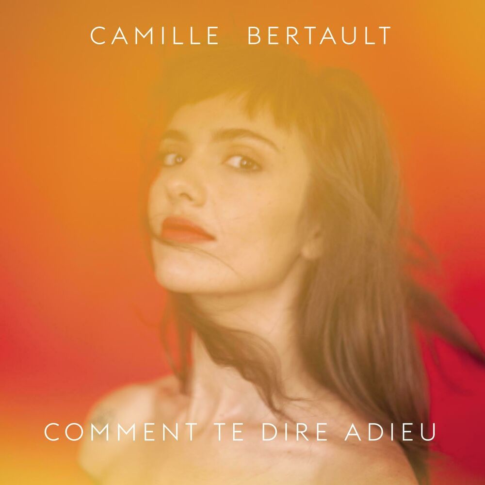 Picture of Comment te dire adieu