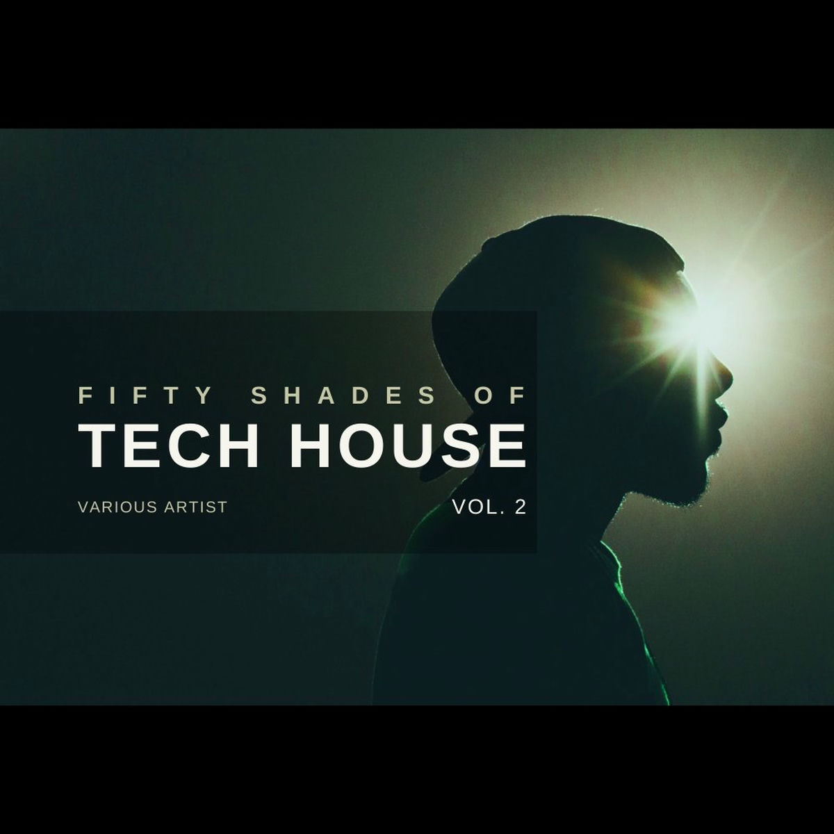 Album cover of Fifty Shades of Tech House, Vol. 2