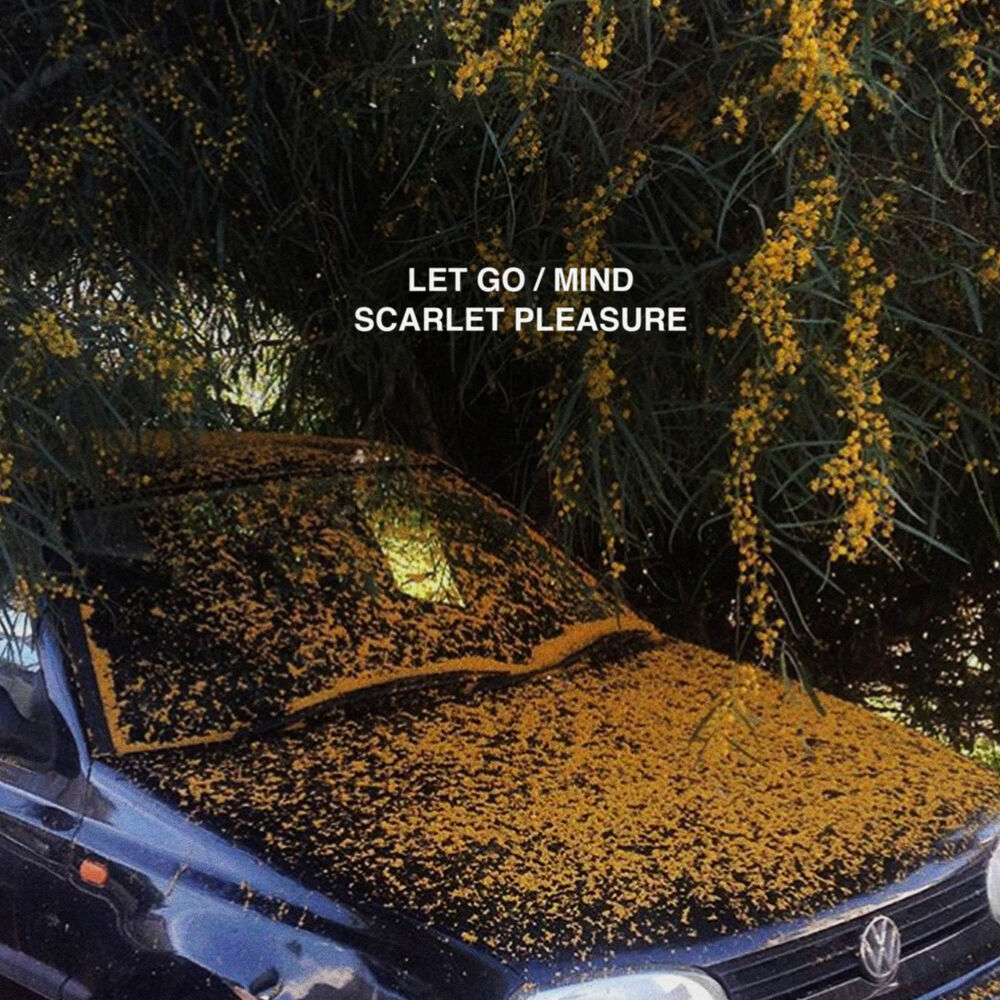 Picture of Let Go / Mind