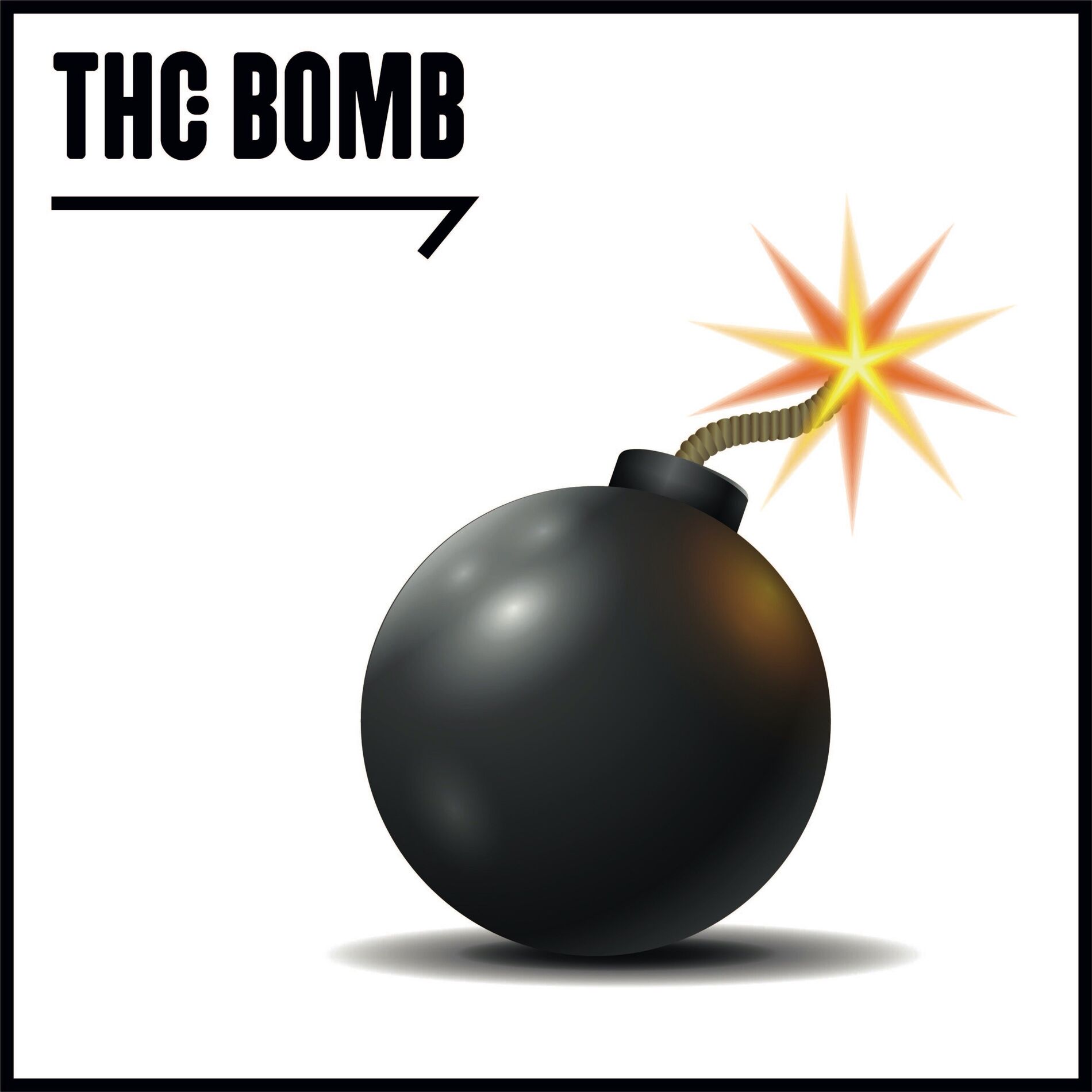Album cover of THE BOMB