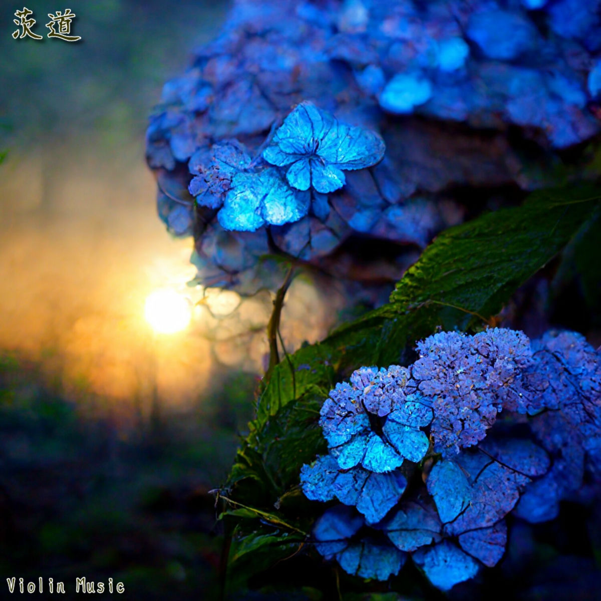 Album cover of 茨道