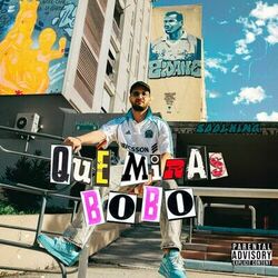 Cover of Qué Miras Bobo