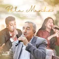 Pela Manhã